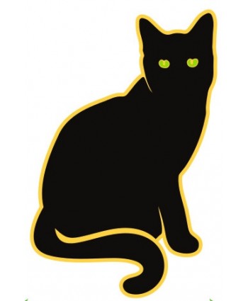 Black Cat Pendle Witch Pin Badge