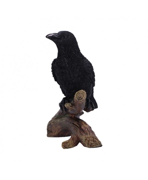 Raven's Perch