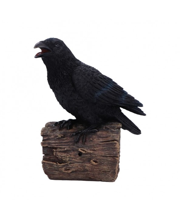 Raven's Cry
