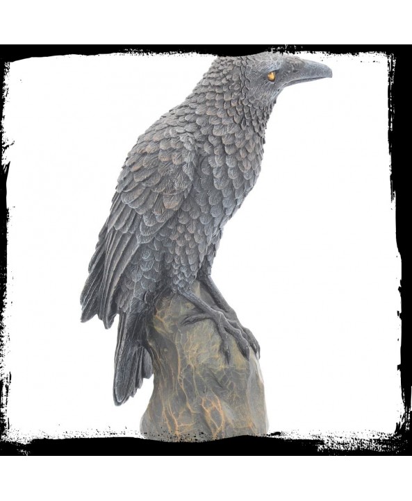 Ravens Rest