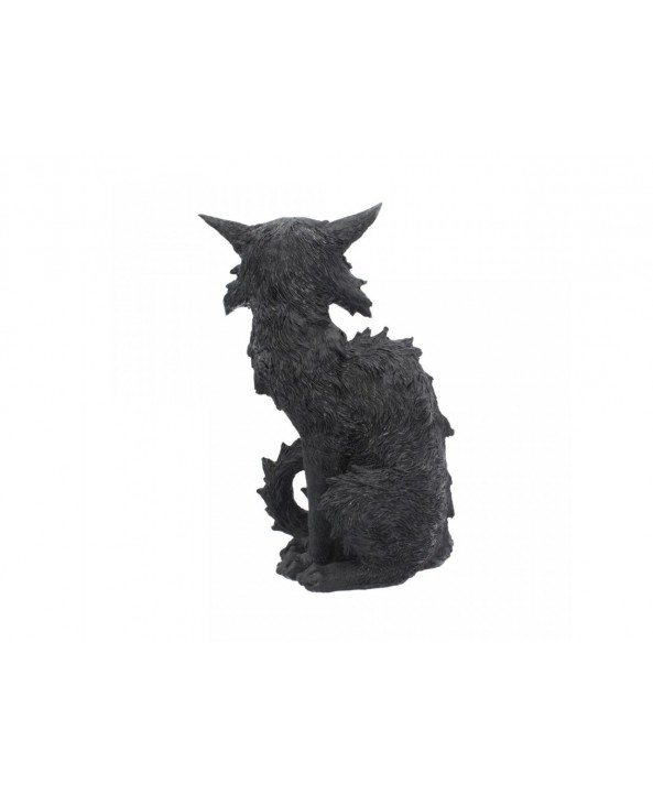 Salem - Black Cat