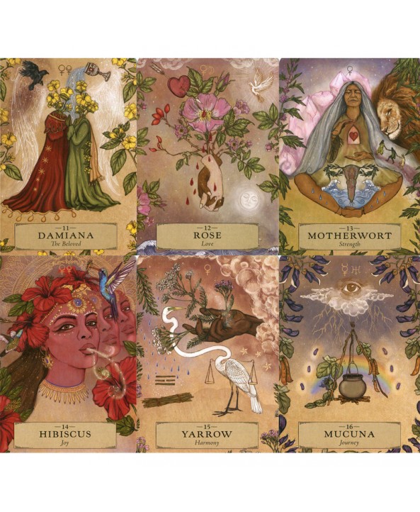 The Herbal Astrology Oracle