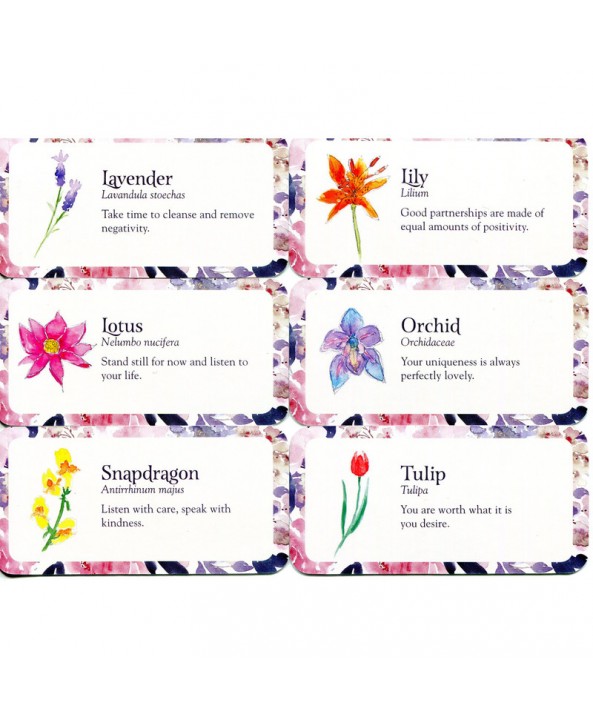 Flower Petals Mini Cards