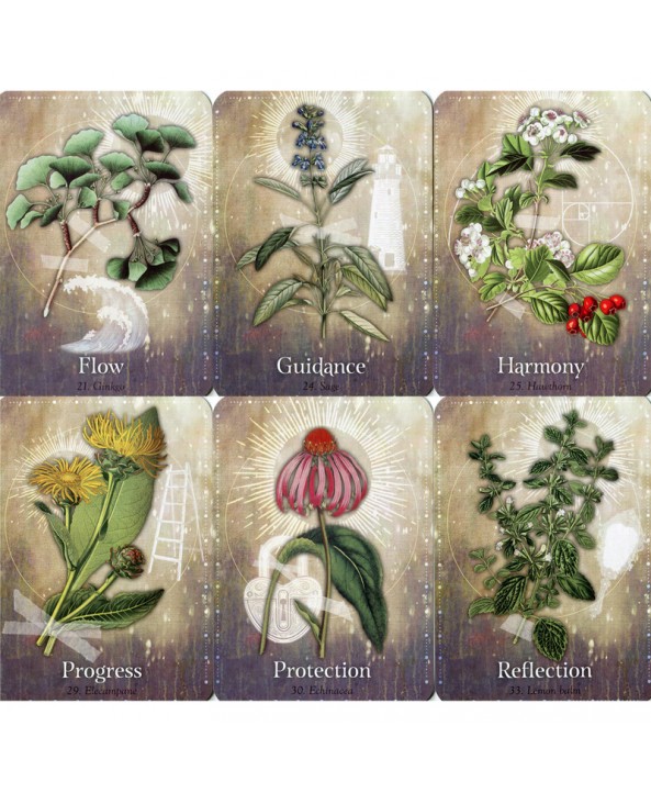 Magickal Herb Oracle