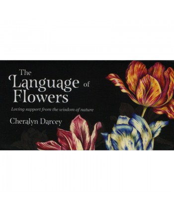 The Language Of Flowers Mini Cards