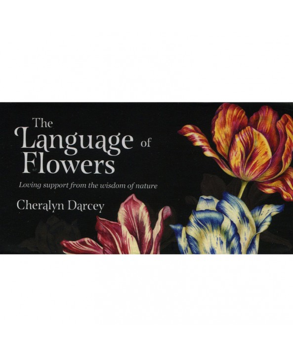 The Language Of Flowers Mini Cards