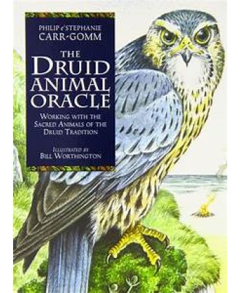 Druid Animal Oracle