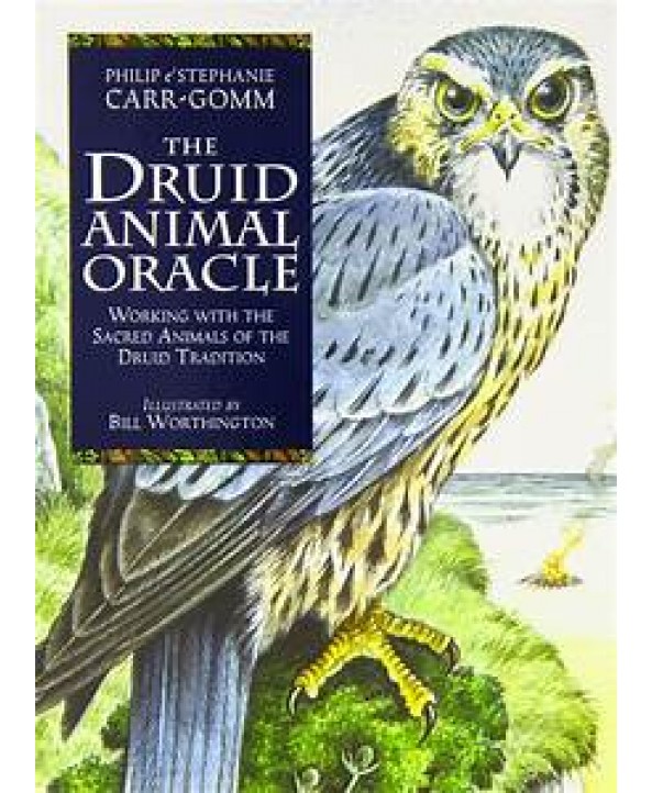 Druid Animal Oracle