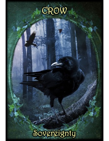 Witches Familiars Oracle Card