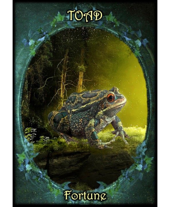 Witches Familiars Oracle Card