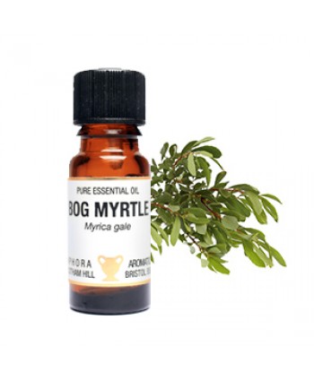 Bog Myrtle Essential Oil