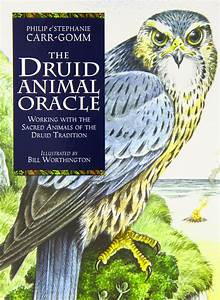 Druid Animal Oracle