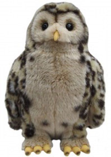 Tawny Owl Soft Toy