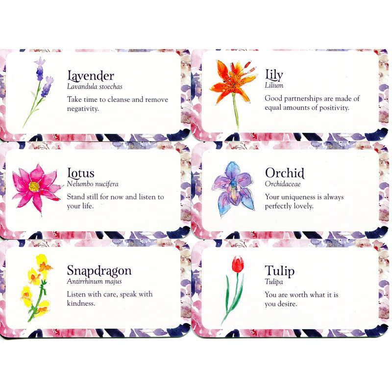 Flower Petals Mini Cards