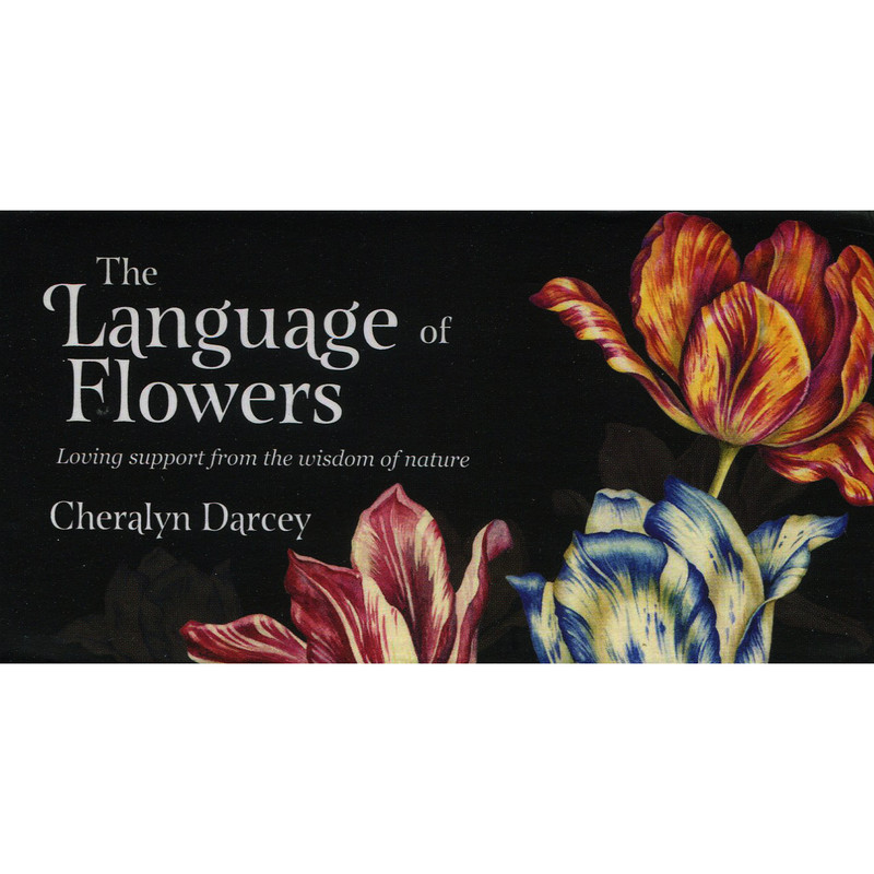 The Language Of Flowers Mini Cards