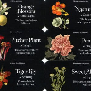 The Language Of Flowers Mini Cards
