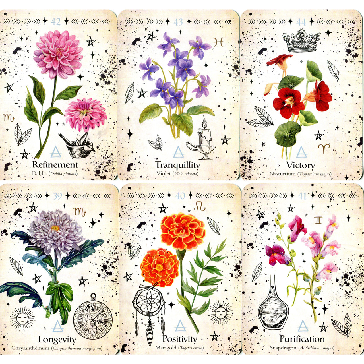 Green Witch Oracle Cards