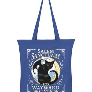 Salem Sanctuary Tote Bag