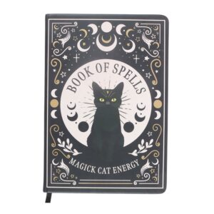 Book of Spells Cat A5 Notebook